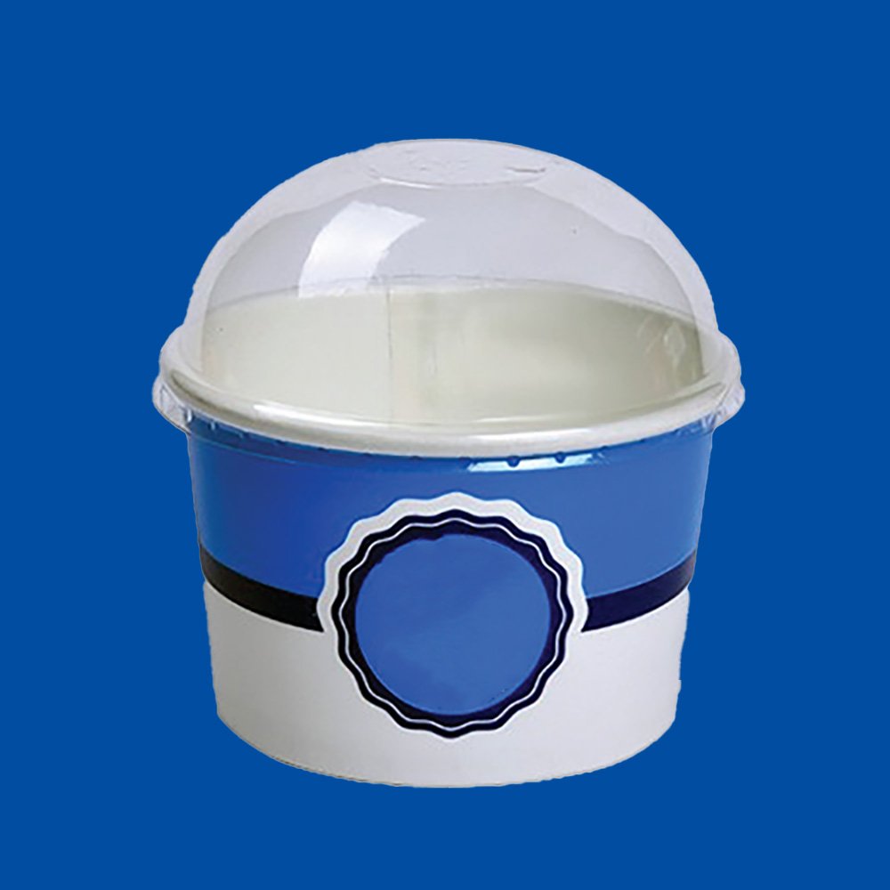 Ice cream Cup 250 ML